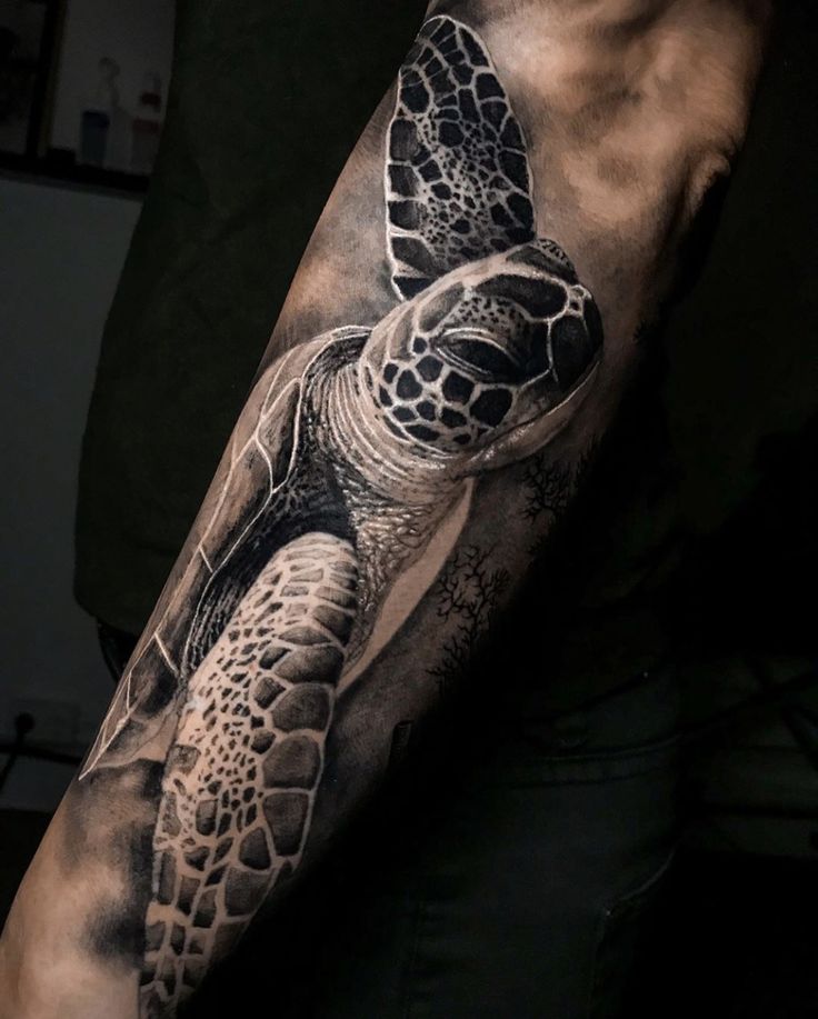 Gợi ý 700+ hình xăm con rùa đa dạng sắc thái cho anh em - Genztattoo