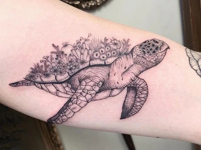 Gợi ý 700+ hình xăm con rùa đa dạng sắc thái cho anh em - Genztattoo