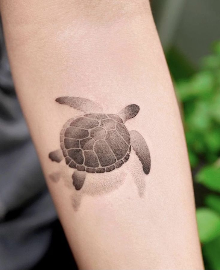 Gợi ý 700+ hình xăm con rùa đa dạng sắc thái cho anh em - Genztattoo