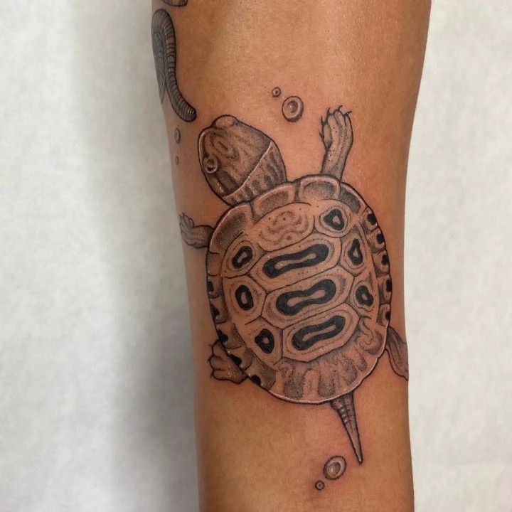 Gợi ý 700+ hình xăm con rùa đa dạng sắc thái cho anh em - Genztattoo