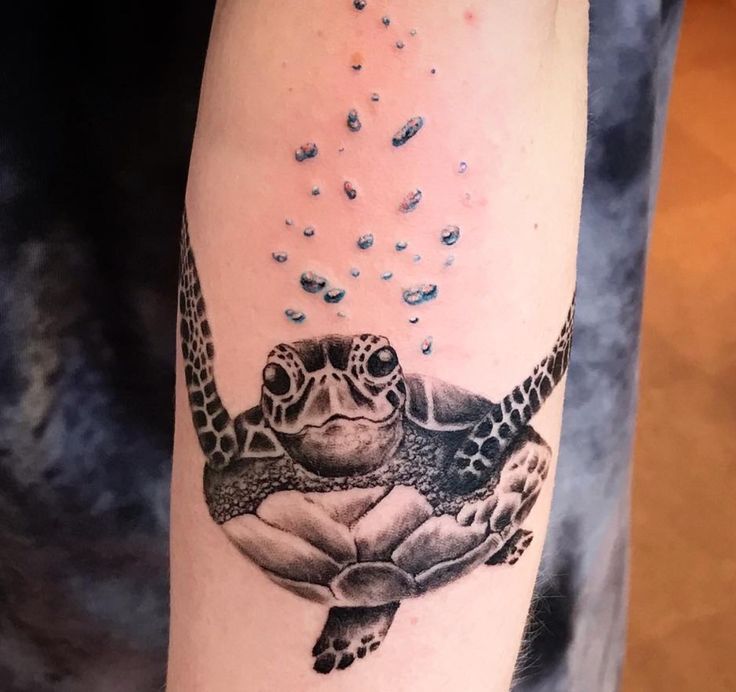 Gợi ý 700+ hình xăm con rùa đa dạng sắc thái cho anh em - Genztattoo