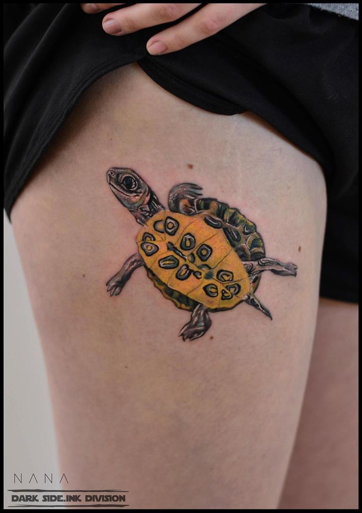 Gợi ý 700+ hình xăm con rùa đa dạng sắc thái cho anh em - Genztattoo