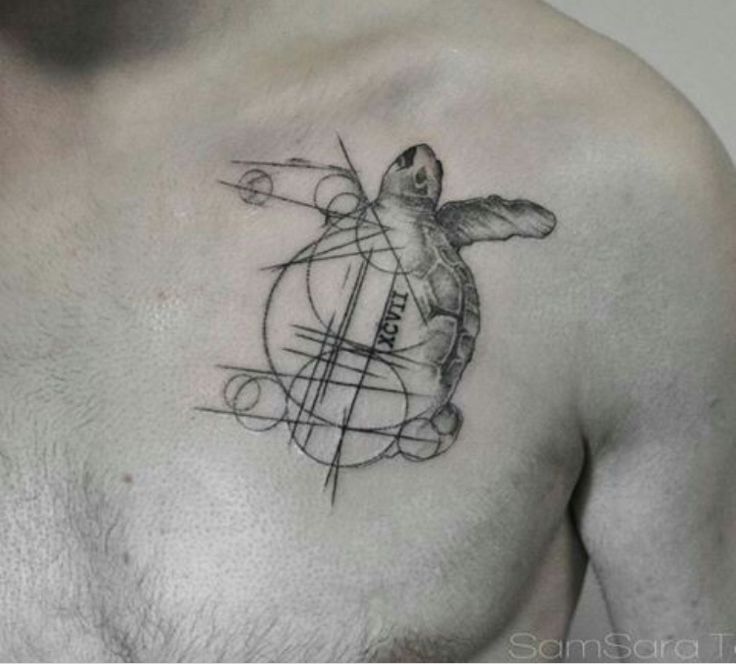 Gợi ý 700+ hình xăm con rùa đa dạng sắc thái cho anh em - Genztattoo