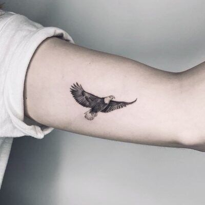Hình xăm bắp tay đại bàng hình tattoo bắp tay mẫu chim đại bàng