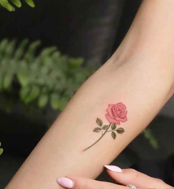 150 hình xăm hoa mini cho những vị trí đẹp nhất - Genztattoo