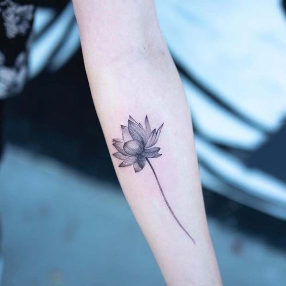 222+ hình xăm hoa sen cho nữ cực tinh tế và ấn tượng - Genztattoo