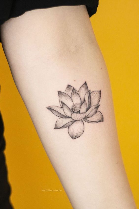 222+ hình xăm hoa sen cho nữ cực tinh tế và ấn tượng - Genztattoo