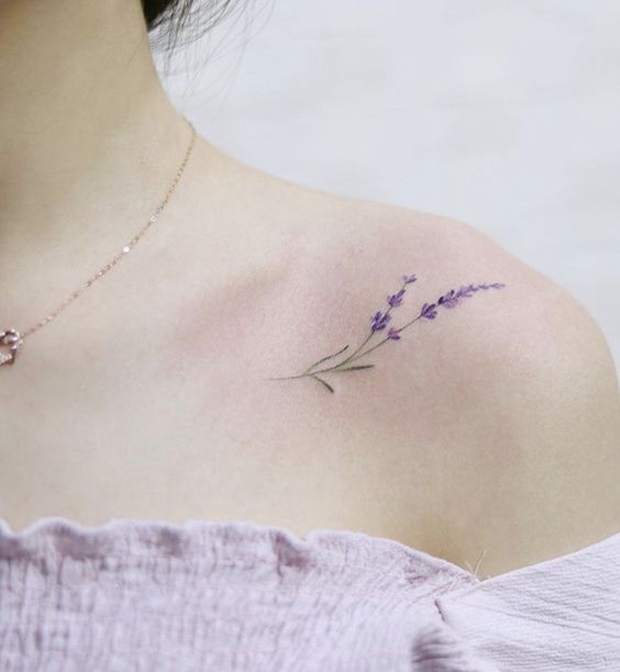 hình xăm hoa oải hương nhỏ trên xương đòn cho phụ nữ hình xăm hoa oải hương mini ở xương quai xanh cho nữ