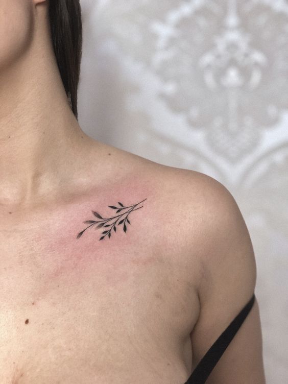 Hình xăm lá nhỏ ở xương quai xanh, nhẹ nhàng và tinh tế hình xăm lá mini ở xương quai xanh nhẹ nhàng tinh tế