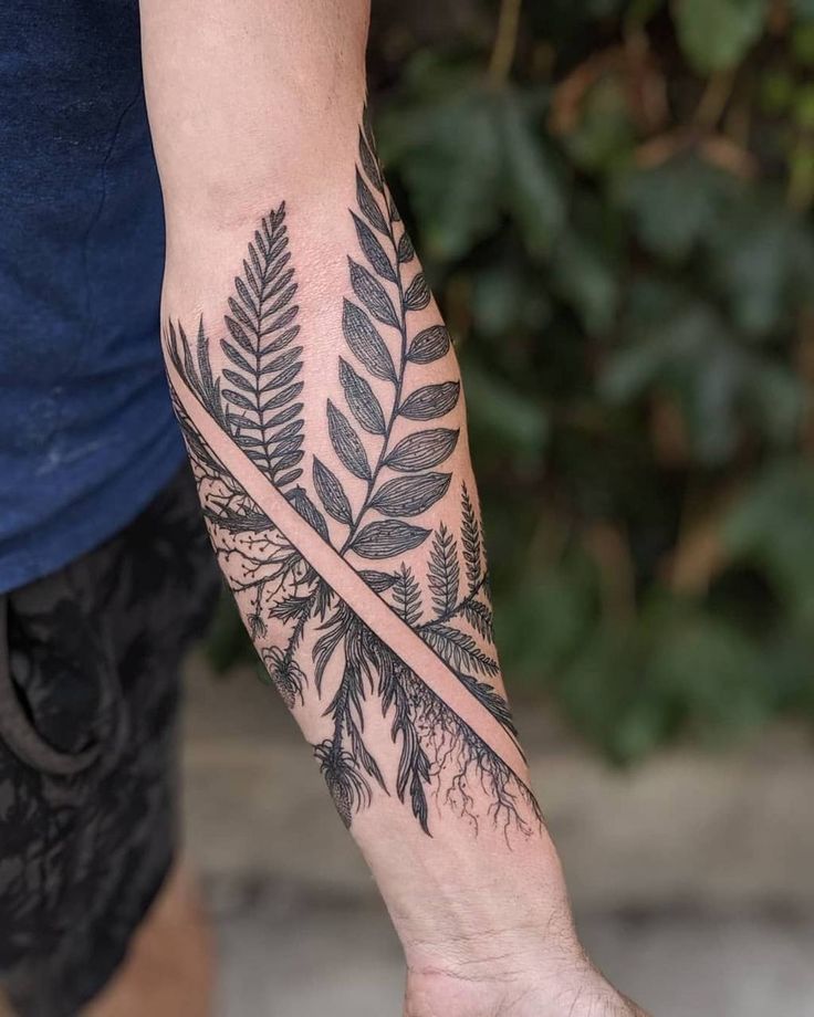 mẫu tattoo các loại dương xỉ trên cẳng tay