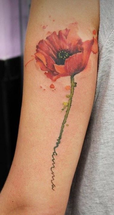 mẫu hình xăm hoa anh túc ở cánh tay 10 hình xăm anh túc ở cánh tay mẫu 10