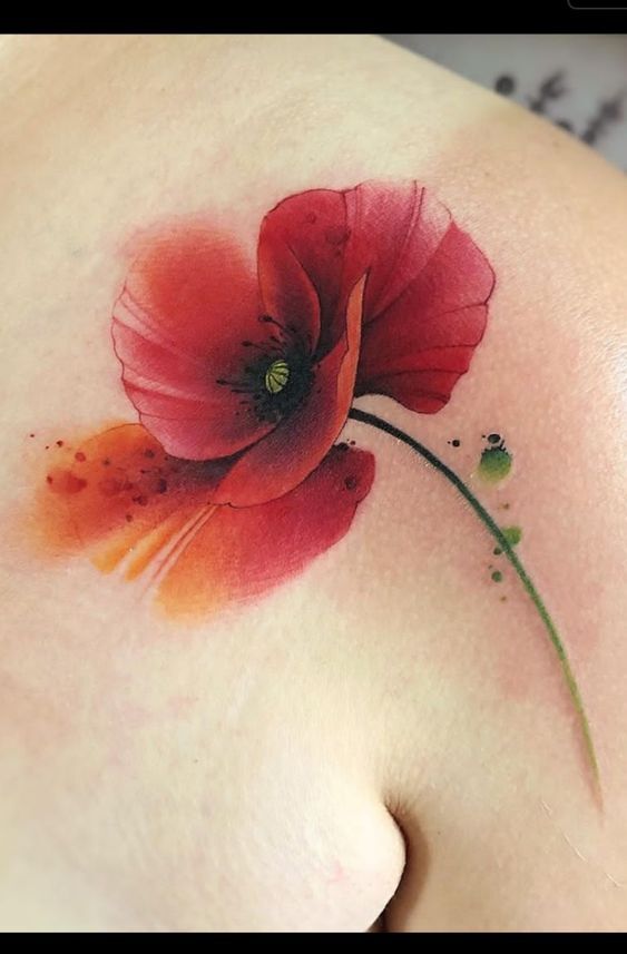 ngực gợi cảm poppy hoa anh túc ở ngực quyến rũ