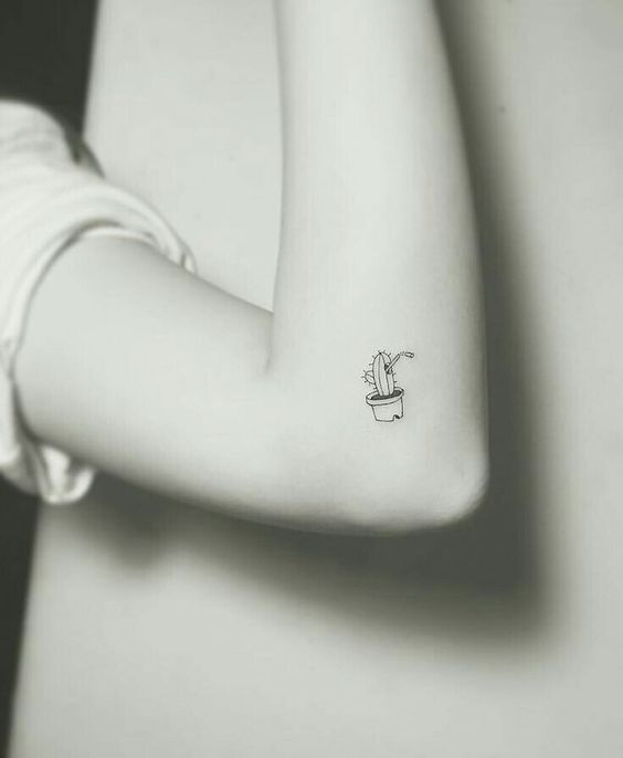 999+ hình xăm mini cây xương rồng đẹp nhất được chọn lọc - Genztattoo