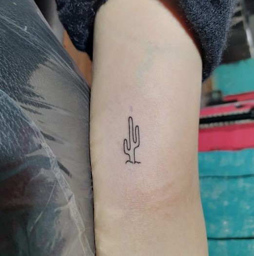 999+ hình xăm mini cây xương rồng đẹp nhất được chọn lọc - Genztattoo