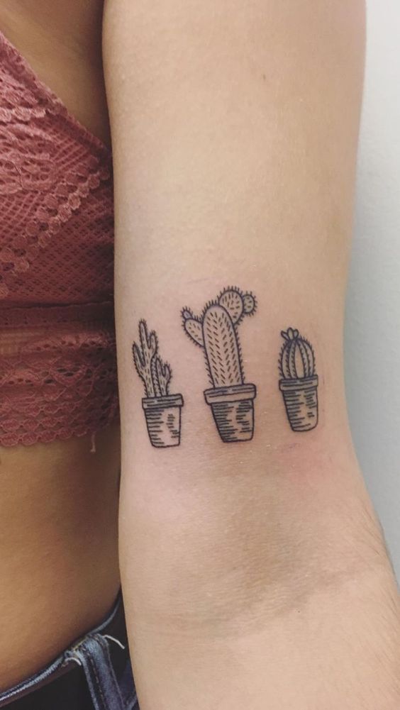 999+ hình xăm mini cây xương rồng đẹp nhất được chọn lọc - Genztattoo