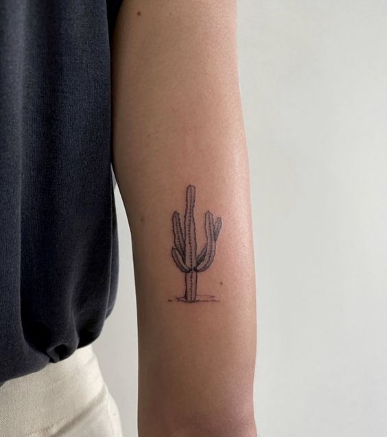 999+ hình xăm mini cây xương rồng đẹp nhất được chọn lọc - Genztattoo
