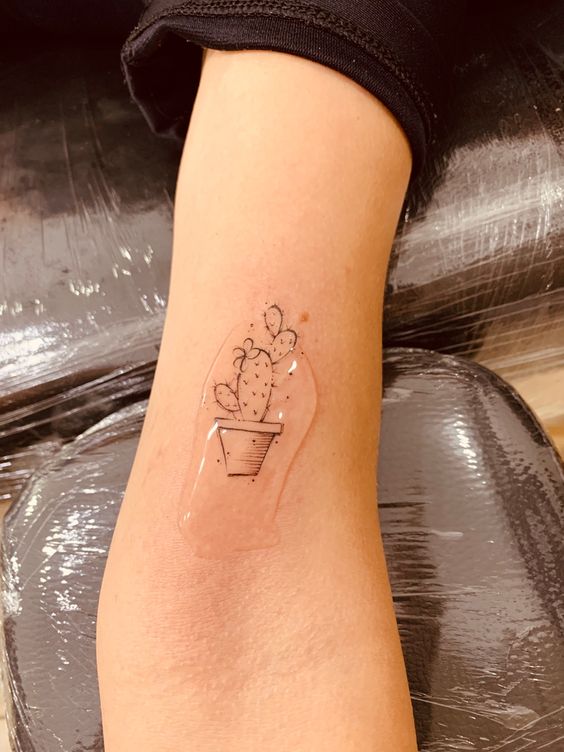 999+ hình xăm mini cây xương rồng đẹp nhất được chọn lọc - Genztattoo