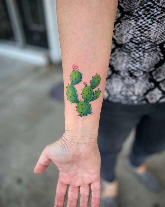999+ hình xăm mini cây xương rồng đẹp nhất được chọn lọc - Genztattoo