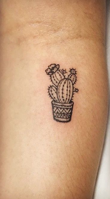999+ hình xăm mini cây xương rồng đẹp nhất được chọn lọc - Genztattoo