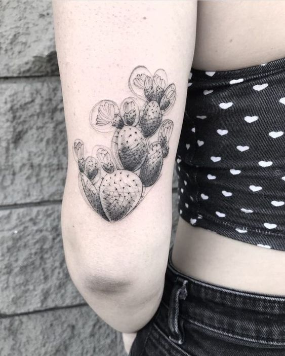 999+ hình xăm mini cây xương rồng đẹp nhất được chọn lọc - Genztattoo
