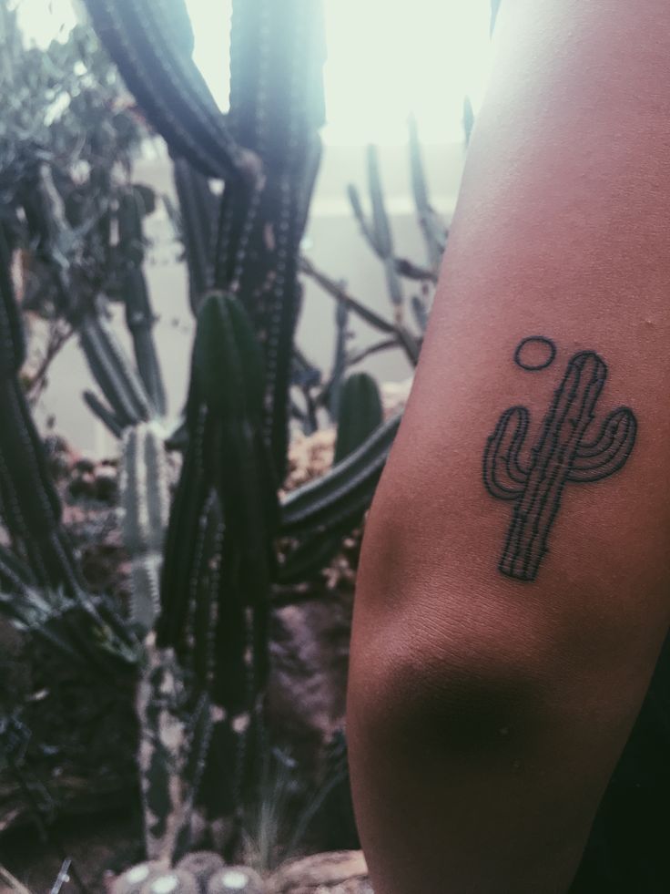 999+ hình xăm mini cây xương rồng đẹp nhất được chọn lọc - Genztattoo