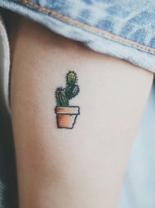 999+ hình xăm mini cây xương rồng đẹp nhất được chọn lọc - Genztattoo