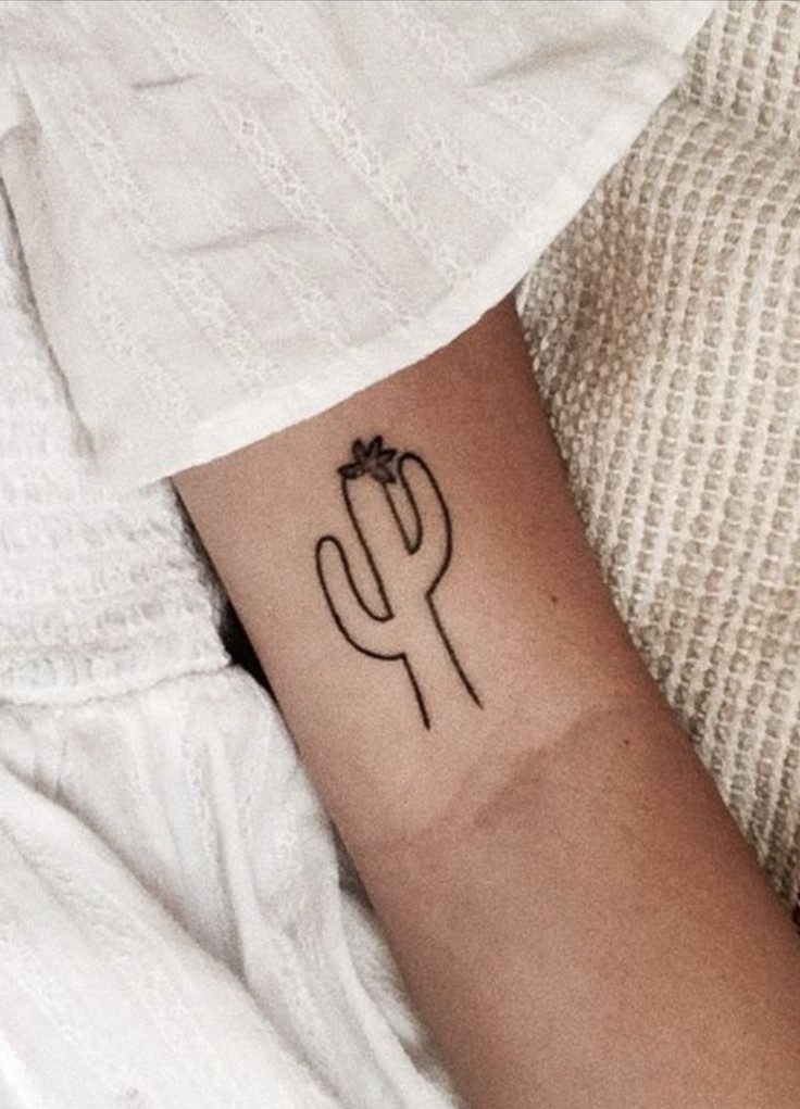 999+ hình xăm mini cây xương rồng đẹp nhất được chọn lọc - Genztattoo