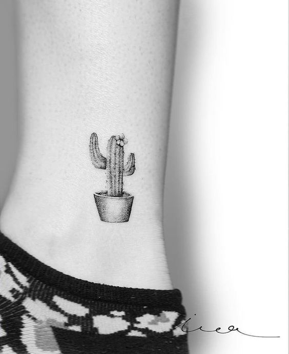 999+ hình xăm mini cây xương rồng đẹp nhất được chọn lọc - Genztattoo