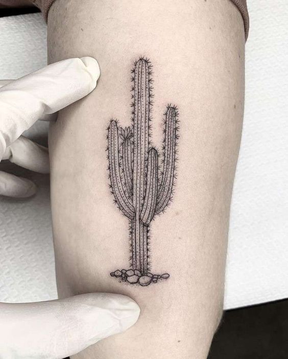 999+ hình xăm mini cây xương rồng đẹp nhất được chọn lọc - Genztattoo