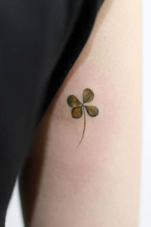 250 hình xăm mini cỏ 3 lá và 4 lá - Genztattoo