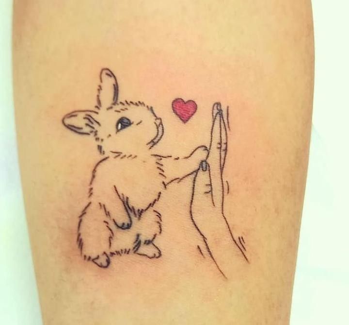 Khám phá ý nghĩa của những thiết kế hình xăm sáng tạo Gợi ý 444+ hình xăm con thỏ cute, dễ thương, độc đáo - Genztattoo