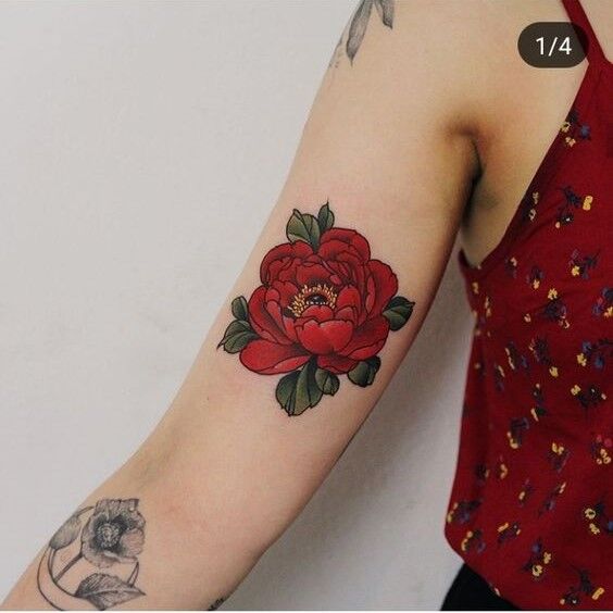 Hình xăm hoa quỳnh dành cho nữ