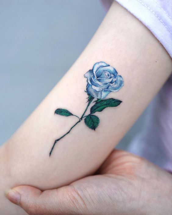 hình xăm hoa hồng xanh nhỏ ở bắp tay hình xăm hoa hồng xanh mini ở bắp tay
