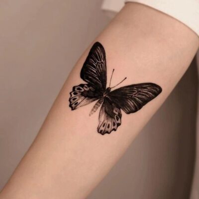 222+ hình xăm bướm độc đáo và phong cách nhất - Genztattoo