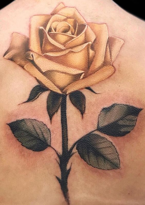 hình xăm hoa may mắn ở lưng nữ 666+ hình xăm hoa may mắn nhiều anh em đang tìm kiếm - Genztattoo
