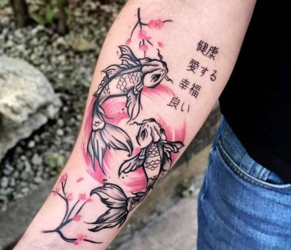 Một đôi cá chép bơi dưới hoa anh đào đôi cá chép đang bơi dưới hoa anh đào