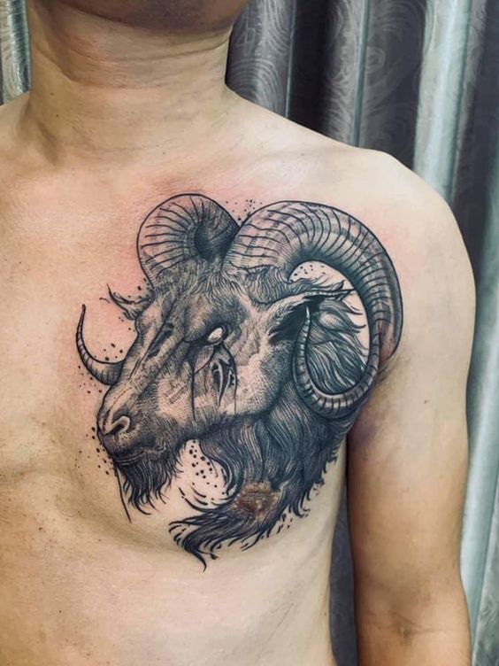 Hấp dẫn với mẫu hình xăm dê trên ngực trái cuốn hút với mẫu tattoo con dê trên ngực trái