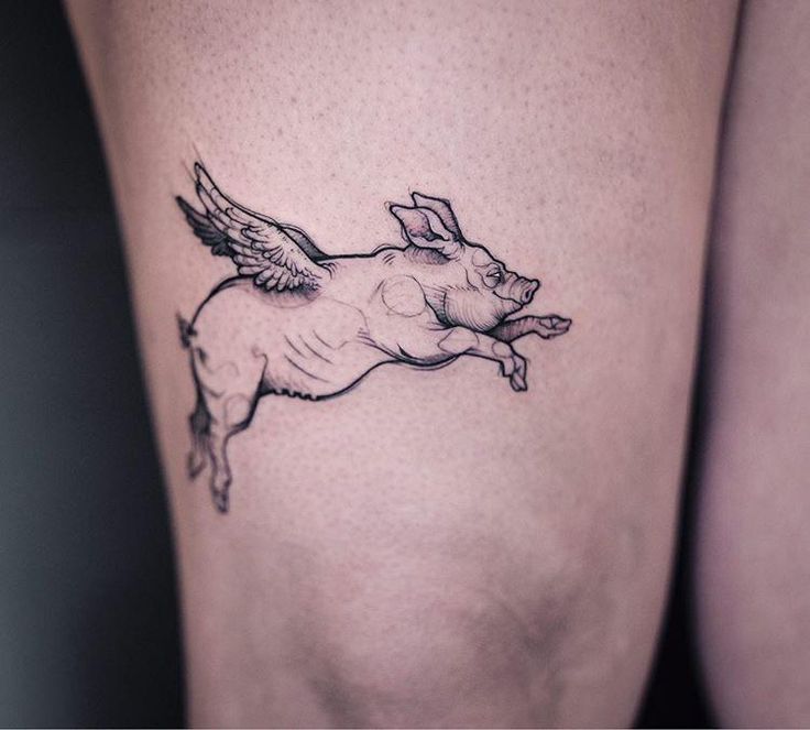 Gợi ý 300+ hình xăm con lợn siêu ngầu và cute cho anh em - Genztattoo