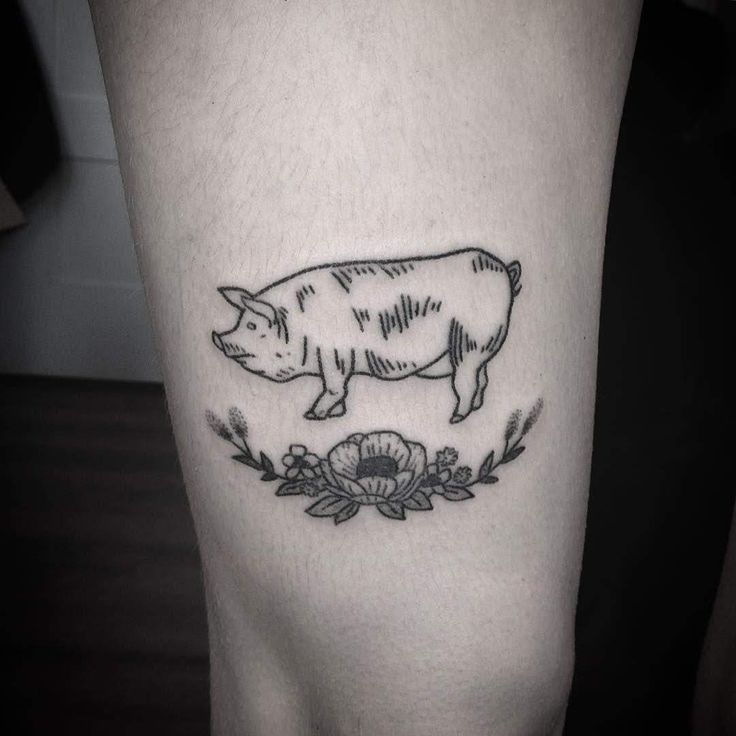Gợi ý 300+ hình xăm con lợn siêu ngầu và cute cho anh em - Genztattoo