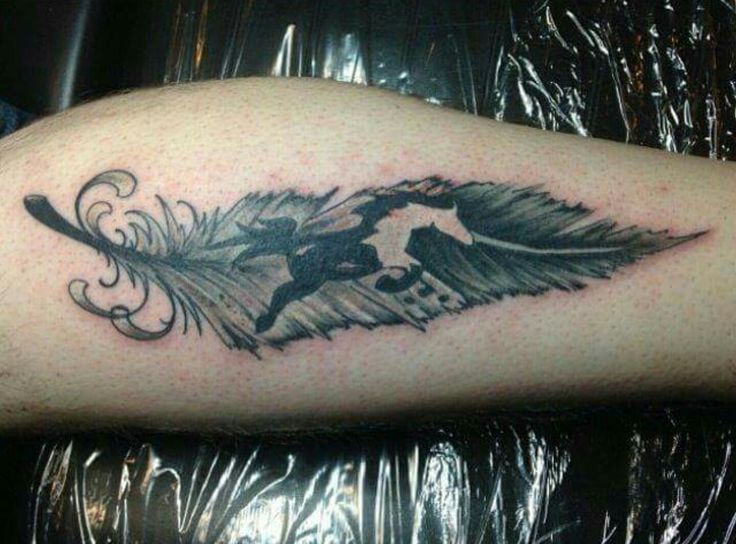tattoo lông vũ hình ngựa trên bắp chân tattoo lông vũ hình ngựa trên bắp chân