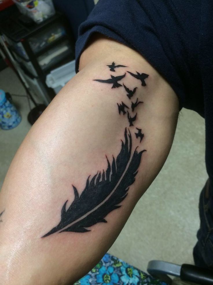 hình tattoo lông vũ ở bắp tay trong hình tattoo lông vũ ở bắp tay trong