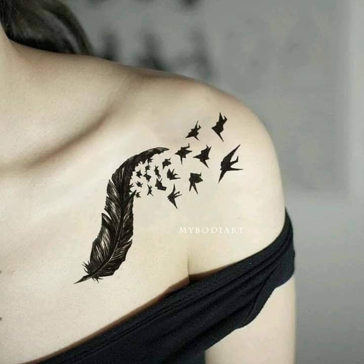 khám phá mẫu lông vũ trên xương quai xanh khám phá mẫu lông vũ trên xương quai xanh