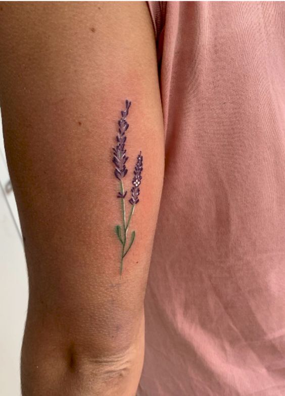  tattoo lavender ý nghĩa cho khách