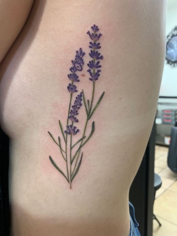 chọn ngay mẫu lavender cực xinh 