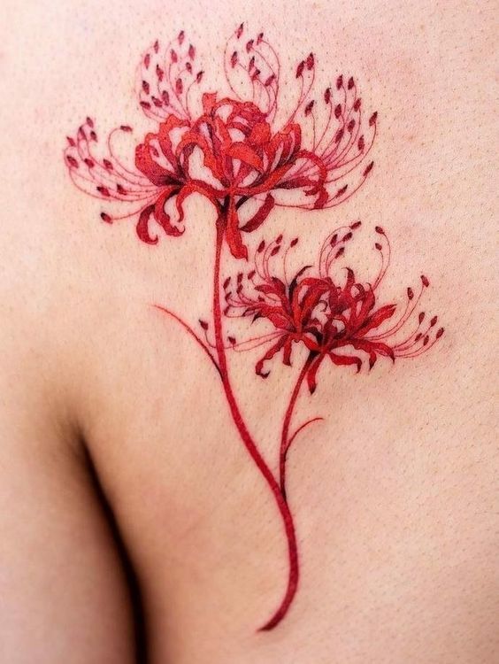 hình xăm hoa màu đỏ siêu nữ tính hình xăm hoa màu đỏ siêu nữ tính