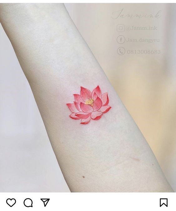 hình xăm hoa sen màu hồng nhẹ nhàng hình xăm hoa sen màu hồng nhẹ nhàng