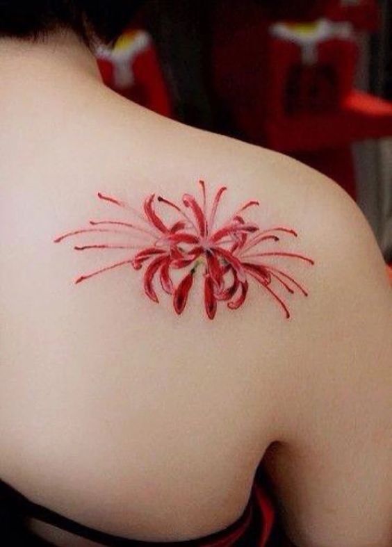 hình xăm hoa bỉ ngạn màu đỏ sau vai hình xăm hoa bỉ ngạn màu đỏ sau vai