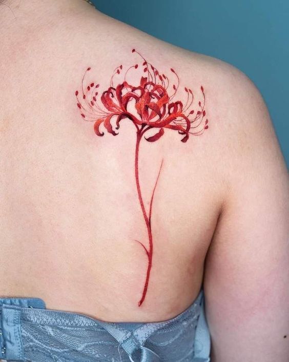 tattoo hoa bỉ ngạn đỏ sau lưng siêu đẹp tattoo hoa bỉ ngạn đỏ sau lưng siêu đẹp