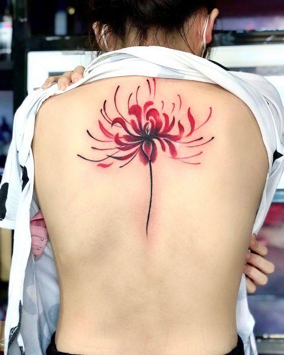 xăm hình hoa bỉ ngạn màu đỏ sau lưng cho nữ xăm hình hoa bỉ ngạn màu đỏ sau lưng cho nữ