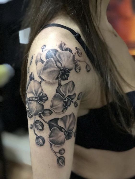 hoa lan hồ điệp trên vai chị khách hoa lan hồ điệp trên vai chị khách